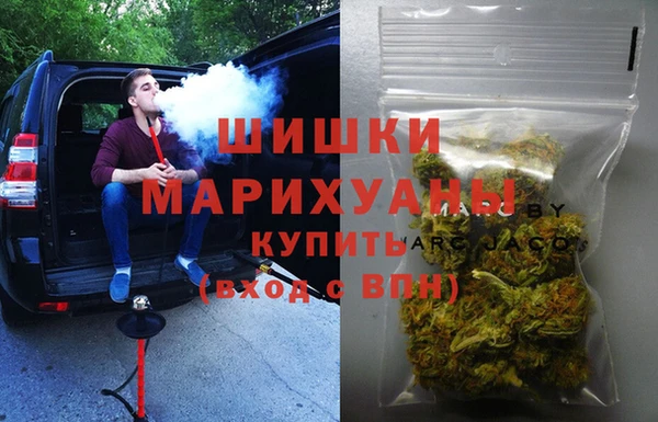 гидра Абаза