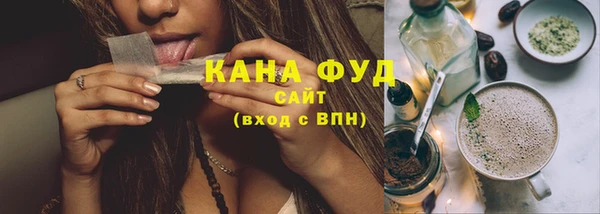 гидра Абаза