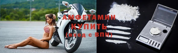 гидра Абаза