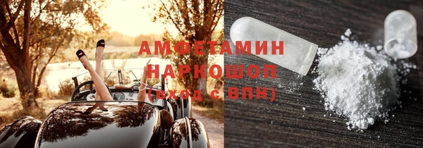 гидра Абаза