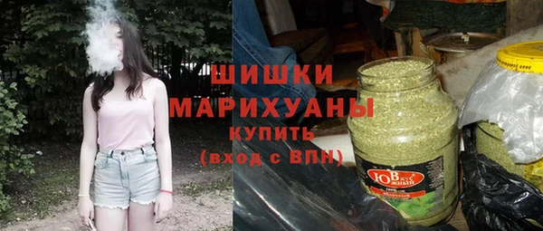 гидра Абаза