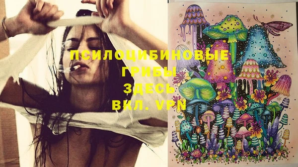 mix Няндома