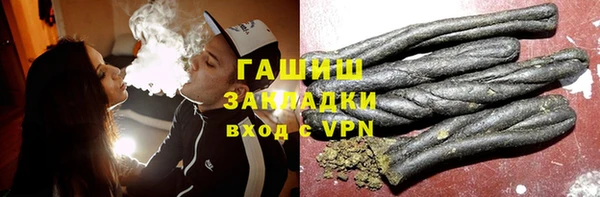 гидра Абаза