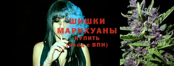 стаф Горнозаводск